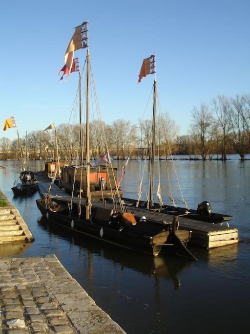 Appart Gite Les Oiseaux- Face Loire Quai Du Chatelet Orleans Luaran gambar